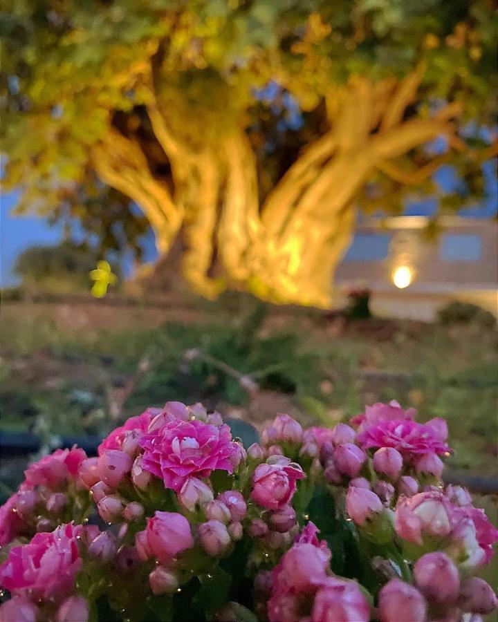 Carrua Pension Marzamemi Buitenkant foto