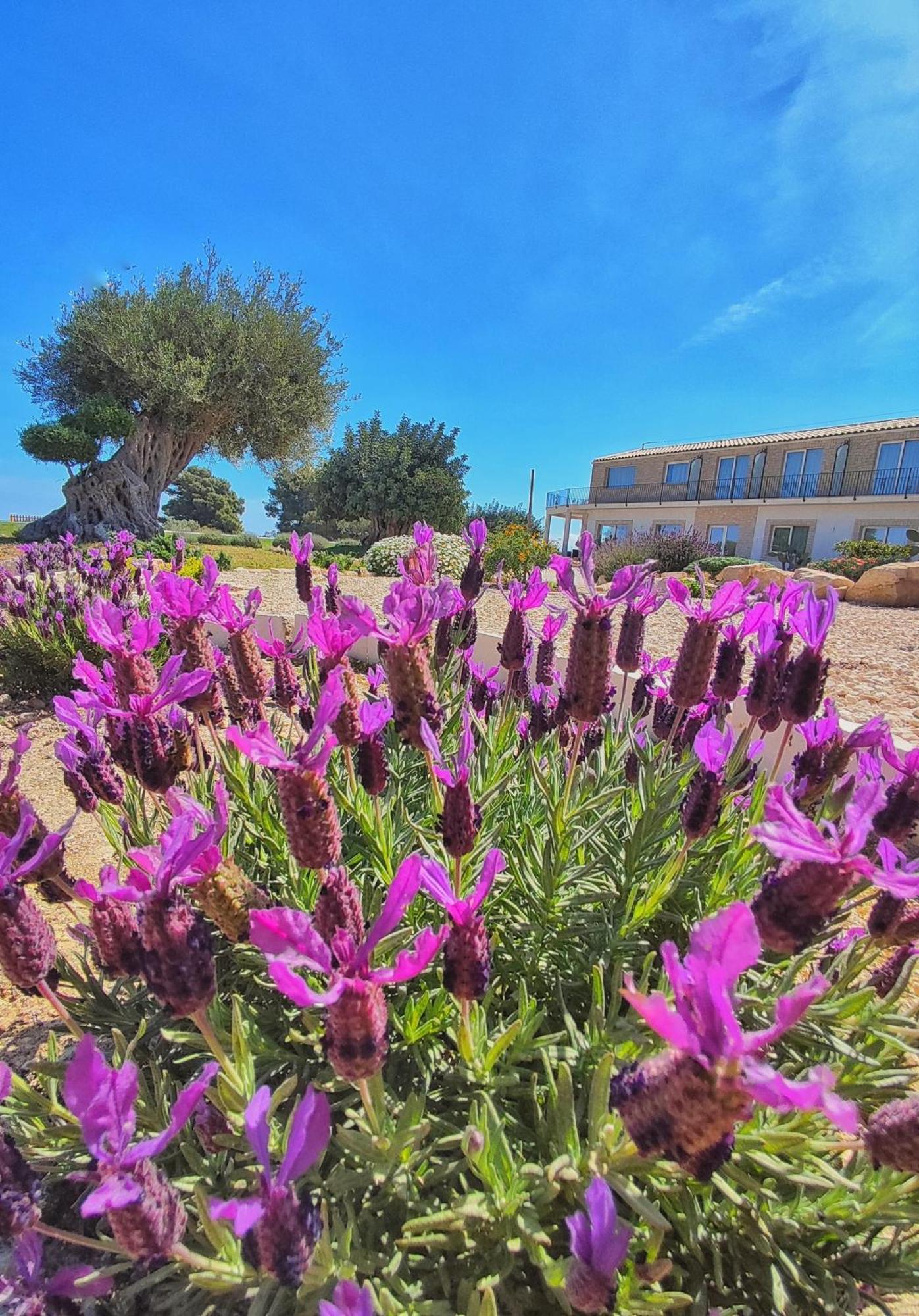 Carrua Pension Marzamemi Buitenkant foto