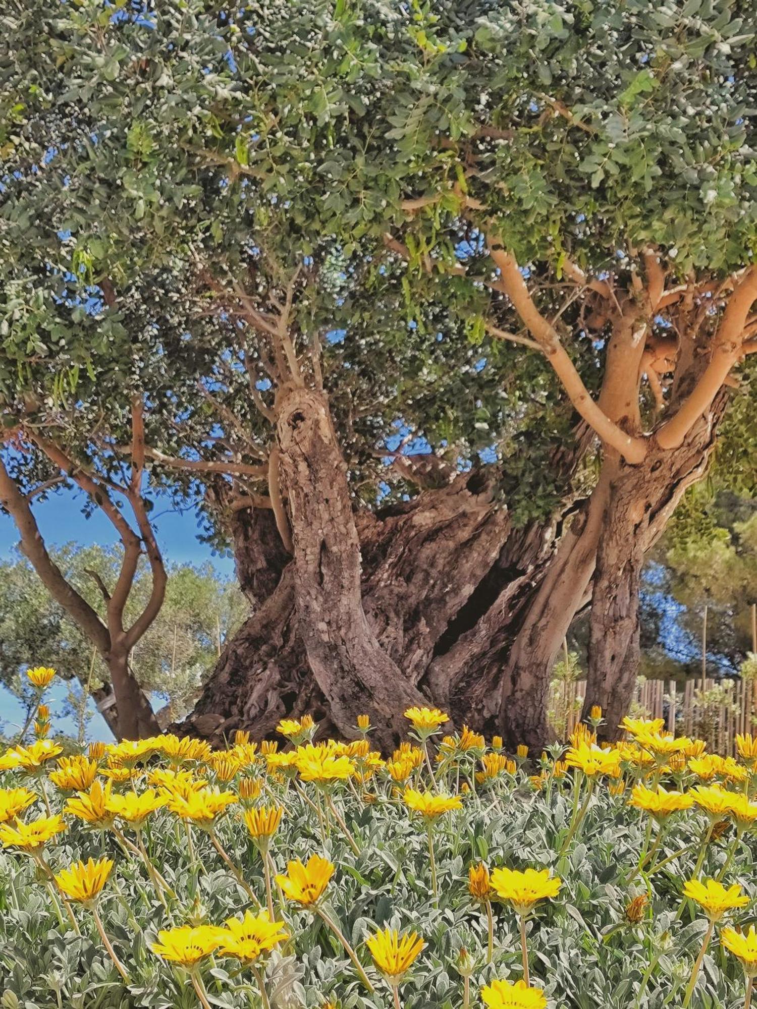 Carrua Pension Marzamemi Buitenkant foto